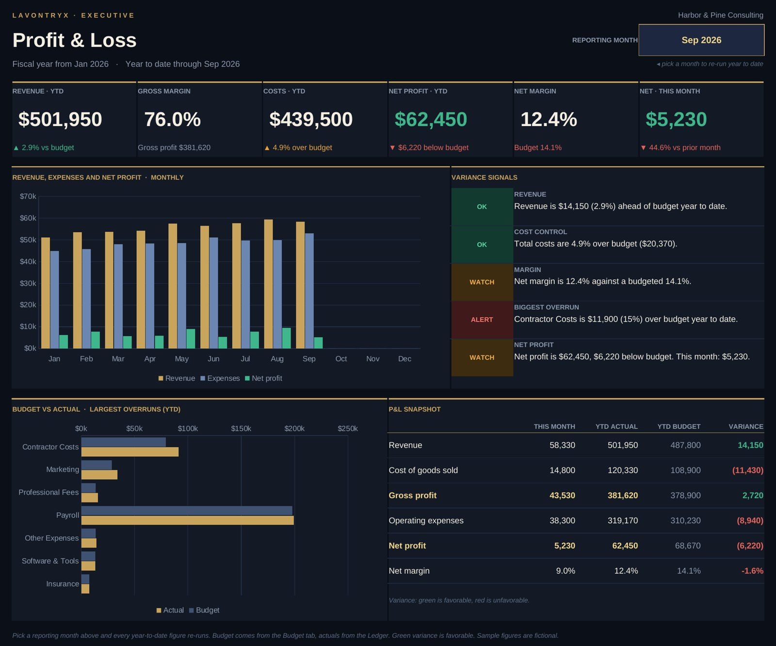 Profit and Loss dashboard with revenue, gross margin, net profit, a monthly chart, variance signals and budget vs actual