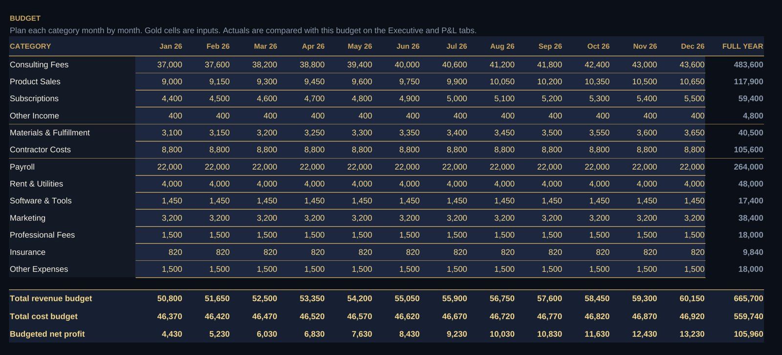 Budget sheet planning each revenue and cost category month by month